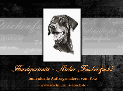Zeichenfuchs - Hundeportraits