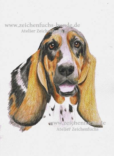 Aquarell eines Basset Hounds