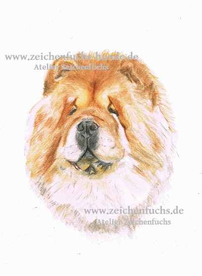 Aquarell eines Chow-Chows