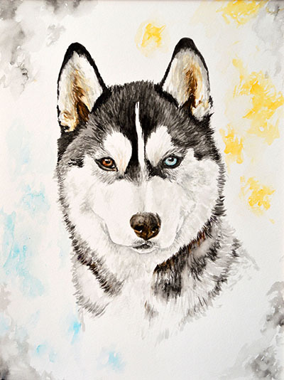 Aquarell eines Siberian Huskys