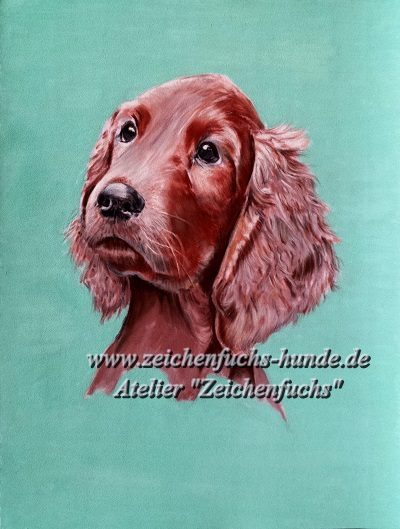 Pastell vom Irish Red Setter