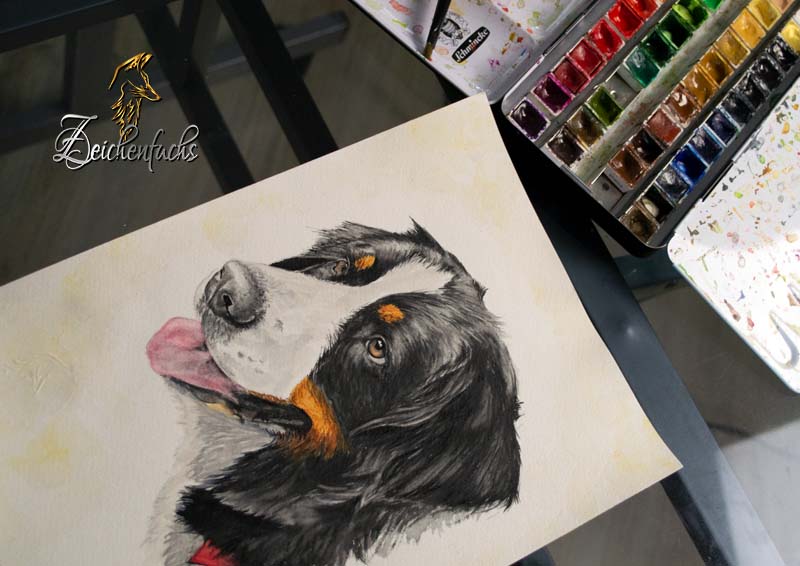 Hundeportrait Berner Sennenhund